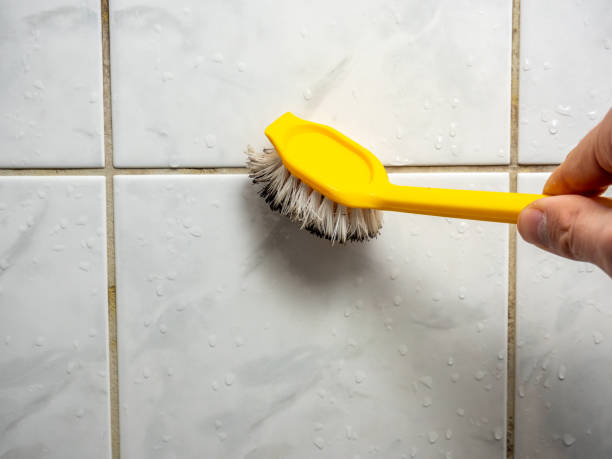 Best Basement Mold Remediation in Orcutt, CA
