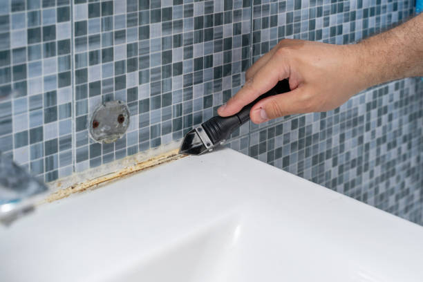 Best Mold Testing and Inspection Services in Orcutt, CA