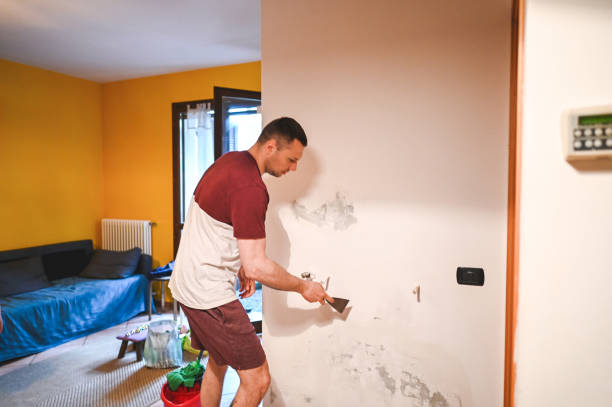 Best Insurance-Related Mold Remediation in Orcutt, CA
